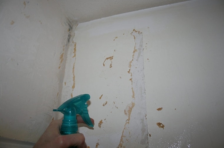Hur man tar bort färg från en badrumsvägg