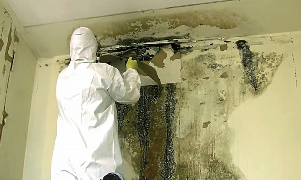 Hur man behandlar väggar mot svamp och mögel före tapetsering.